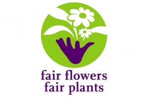 fair-flower-fair-plants