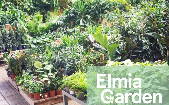 Elmia Garden